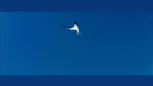 Test 2